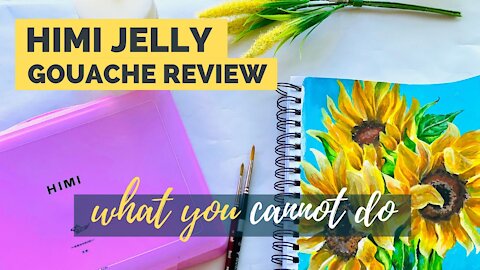 What you cannot do with Himi Gouache: Jelly Gouache Review★,｡･:*:･ﾟ☆