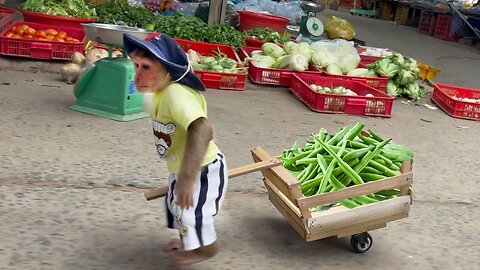 CUTIS Rickshaw Goes Market To Make Breakfast For Goat