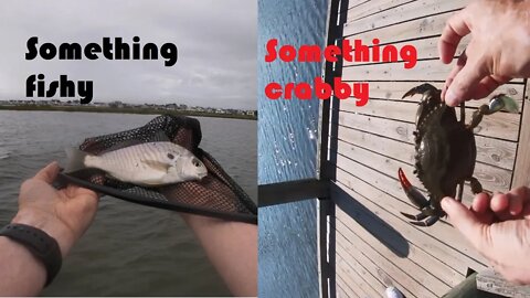 Crabbing and fishing in Ocean City Maryland.