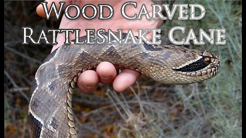 Rattlesnake Walking Stick #56