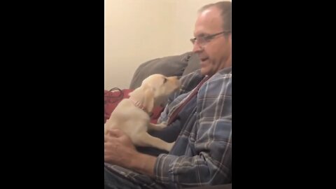 A dad and a dog fall in love