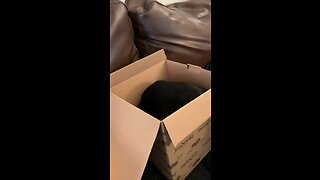 Johnny in a box