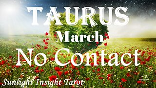 TAURUS - They Want The Perfect Life With You! But They Need To Do This First!🥰💏 March No Contact