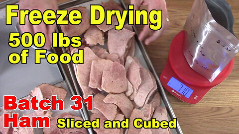 Freeze Drying Your First 500 lbs of Food - Batch 31 - Ham, Slices & Cubes