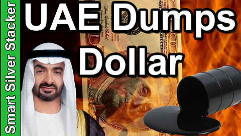 UAE Dumps Dollars For Oil Trade - (Can US Save The Petrodollar?)