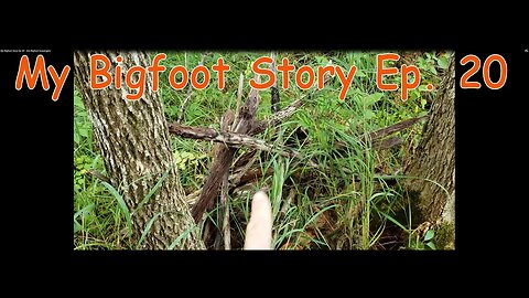 My Bigfoot Story Ep. 20 - Are Bigfoot Scavengers