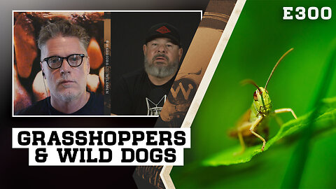 E300: Grasshoppers & Wild Dogs