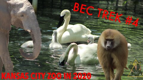 What was the Kansas City Zoo like in the Summer of 2020? | BEC TEK Episode 4