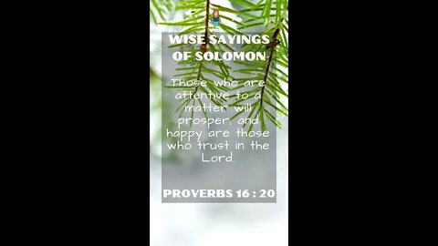 Proverbs 16:20 | NRSV Bible | Wise Sayings of Solomon