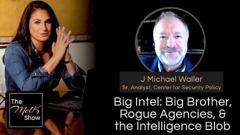 MEL K & J MICHAEL WALLER | BIG INTEL: BIG BROTHER, ROGUE AGENCIES, & THE INTELLIGENCE BLOB