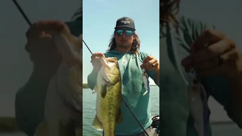 Lose LESS FISH With THIS Landing Technique
