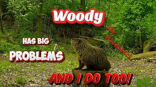 Woody the Woodchuck and i both have problems!