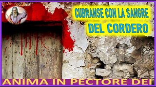 CUBRANSE CON LA SANGRE DEL CORDERO - MENSAJE DE DIOS PADRE A ANIMA IN PECTORE DEI