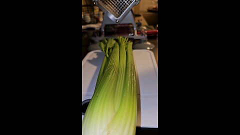 Using my new "Commercial" French Fry Slicer to Chop Celery