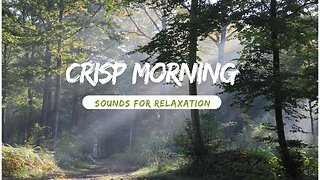 Crisp Morning Serenity: Relaxing Sounds of Birds Chirping