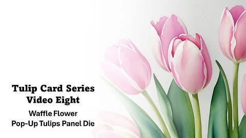 Tulip Card Series | Video Eight