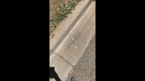 Litterbugs