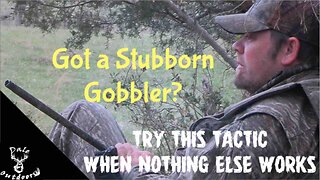 Got a Stubborn Gobbler? Try This When Nothing Else Works