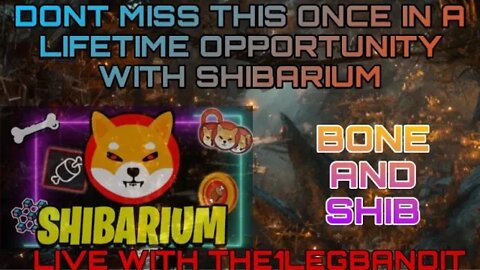 SHIBARIUM once in a lifetime opportunity!