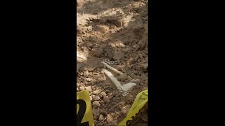 Chalk Line Crime: The Hunt for The West Mesa Bone Collector