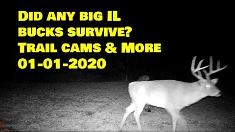 Did ANY Big Illinois bucks survive? Trail cams, New road update, property tour & more