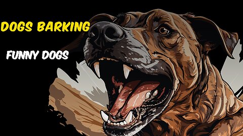 🐶🔊 TOP 10 Dog Barking Videos Compilation 2016 🐾😂 | Dog Barking Sound & Funny Moments 🐕🎉