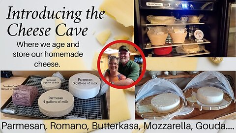 Introducing the Cheese Cave, a cool, humid space where I age and store my homemade cheese.