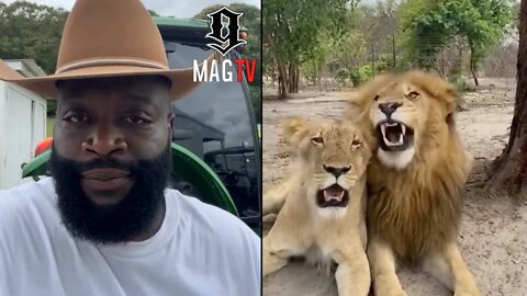 Rick Ross Considers Adding 2 Pet Lions From Africa To His Promiseland Estate! 🦁