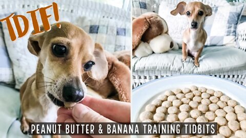 Homemade Peanut Butter & Banana Training Tidbits