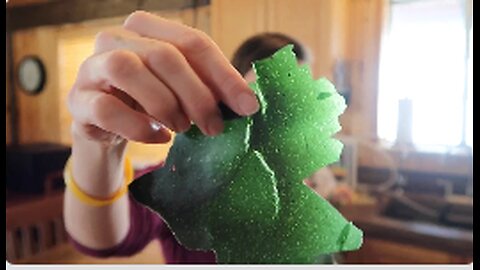 How to Make ANTI-CANCER FRUIT ROLL UPS w/ SPIRULINA