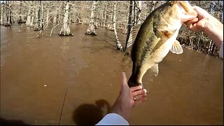 Bass Fishing Spring Frontal Conditions
