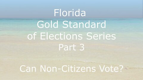 Is Florida the Gold Standard in Elections? Part 3 Can Non-Citizens Vote?