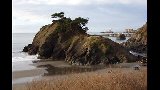 Walk on the beach today 2/24/22: