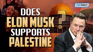 Does Elon Musk Support Palestine?