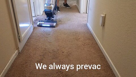 The Four Major Professional Carpet Cleaning Steps