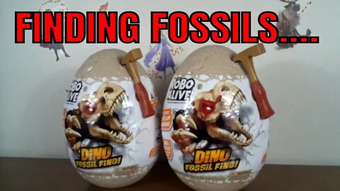 Zuru Dino Fossil Find Opening