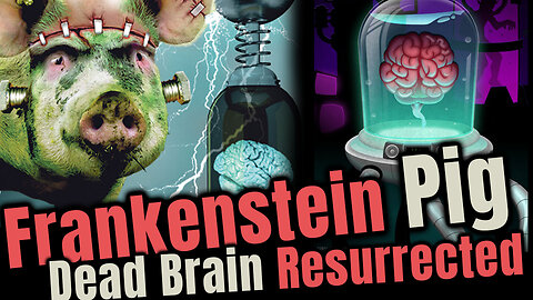 🌐PIG FRANKENSTEIN - Pig Brain resurrected - consciousness may be able to come back🌐