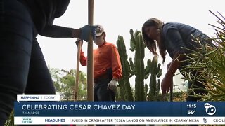 Volunteers spend Cesar Chavez Day beautifying courtyard in Talmadge