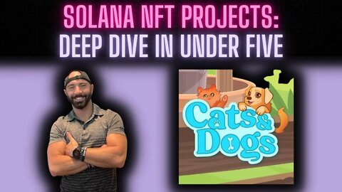 Solana NFTs | Deep Dive in Under 5: Cats & Dogs