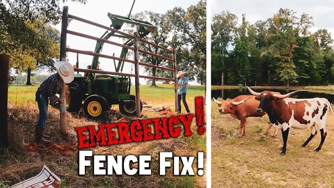 (EMERGENCY!) Fence Fix! | WINTER (PREPPER) PANTRY! 2022/2023 | 1 YEAR Food Storage