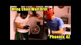Wing Chun Defensive Technique Wall Drill --- Wing Chun Phoenix