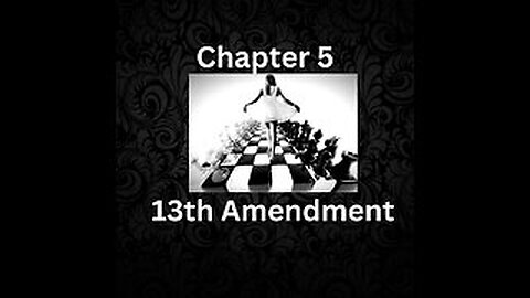 No More Bullshit- Chapter 5-13th Amendment- by Natalie Newman copyright 2017