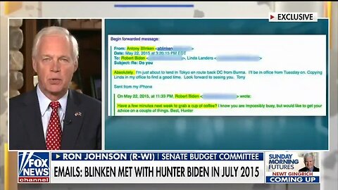 Sen Ron Johnson: Antony Blinken 'LIED Boldface To Congress' About Contact With Hunter Biden