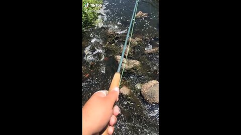 Testing out the new fly rod ￼