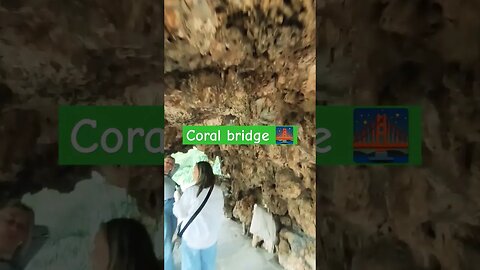 Coral Bridge 🌉 #europe #spain #sea #coral #bride #ytshorts #random #viral