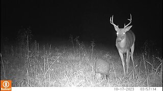 Trail Camera captures of Wildlife Middle Tennessee 32