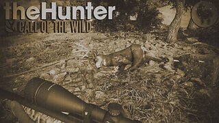 Like It's 1886 (mule deer edition) Hunt Club Beta | theHunter Call of the Wild (PS5 4K 60FPS)