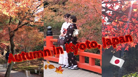 Autumn 🍂 🍁 2021 in Kyoto, Japan 🇯🇵