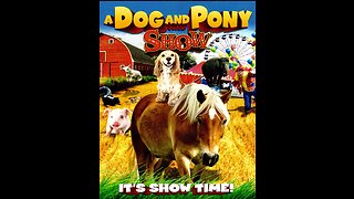 Dog & Pony Show