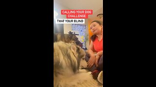 Calling your dog challenge